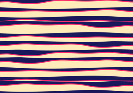 Funky Zebra