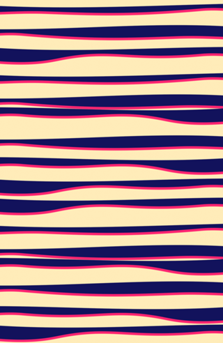 Funky Zebra