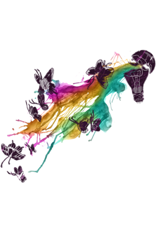 Follow The Colors