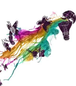 Follow The Colors