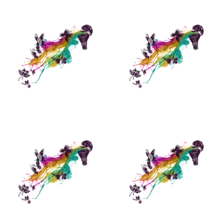 Follow The Colors