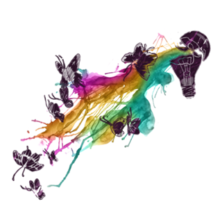 Follow The Colors