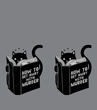 How to get away with murder
