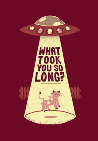 Why Did You Took So Long Alien Funny T-shirt