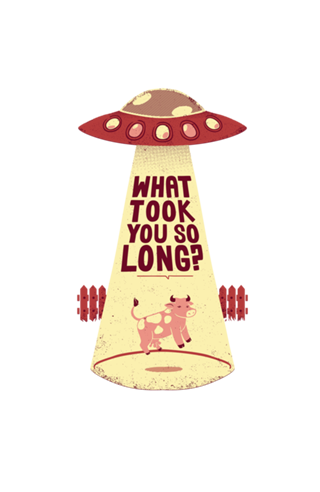 Why Did You Took So Long Alien Funny T-shirt