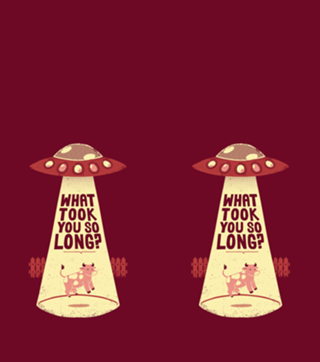 Why Did You Took So Long Alien Funny T-shirt