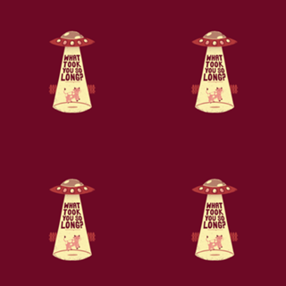 Why Did You Took So Long Alien Funny T-shirt