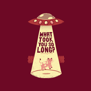 Why Did You Took So Long Alien Funny T-shirt