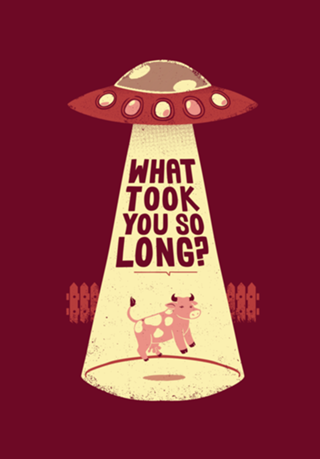 Why Did You Took So Long Alien Funny T-shirt
