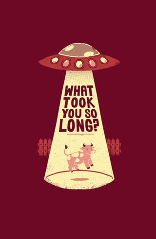 Why Did You Took So Long Alien Funny T-shirt