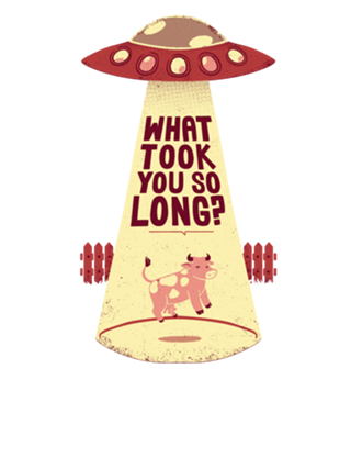Why Did You Took So Long Alien Funny T-shirt