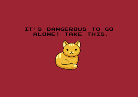 ITS DANGEROUS TO GO ALONE Take This Cat