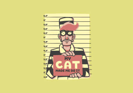 My Cat Made Me Do It