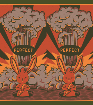 Perfect