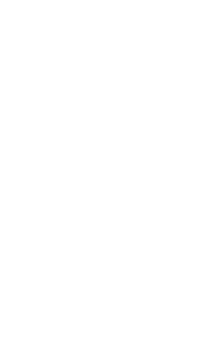 American Flag Space