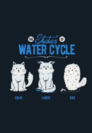 The States of the Water Cycle
