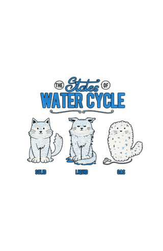 The States of the Water Cycle