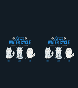 The States of the Water Cycle