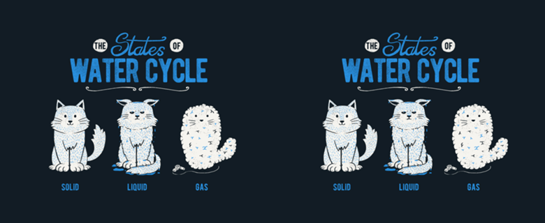 The States of the Water Cycle