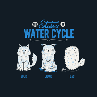The States of the Water Cycle