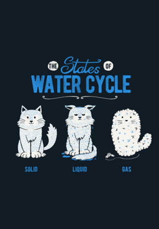 The States of the Water Cycle