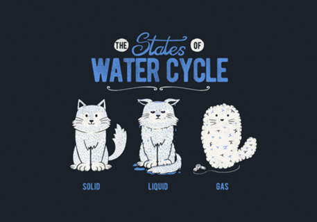 The States of the Water Cycle