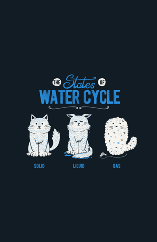 The States of the Water Cycle