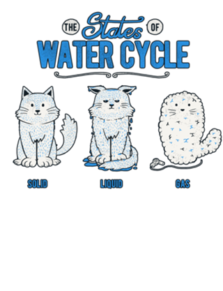The States of the Water Cycle