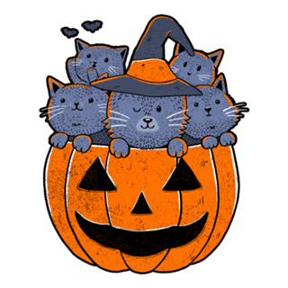 Cat's Tricks