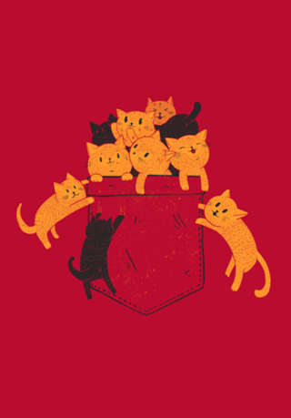Pocket Cats