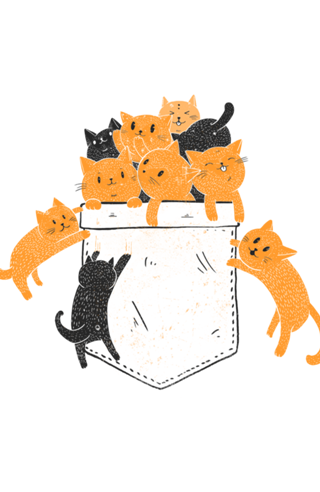 Pocket Cats