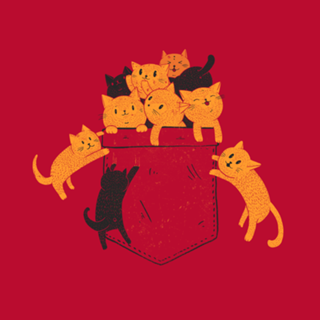 Pocket Cats