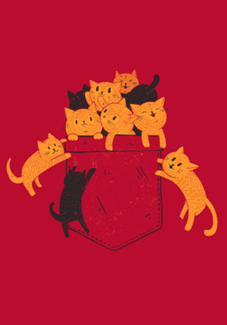 Pocket Cats