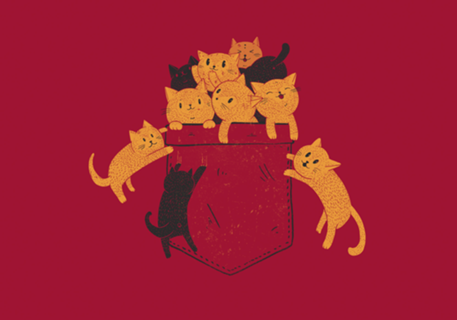 Pocket Cats