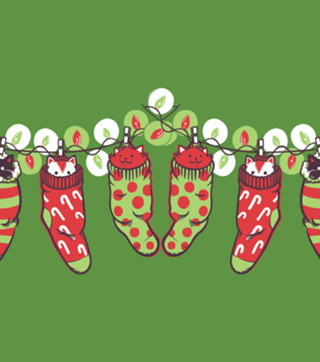 Jingle Meow