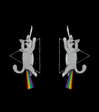 The Dark Side of Cats