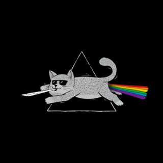 The Dark Side of Cats