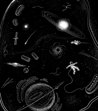We Are Made Of Starts