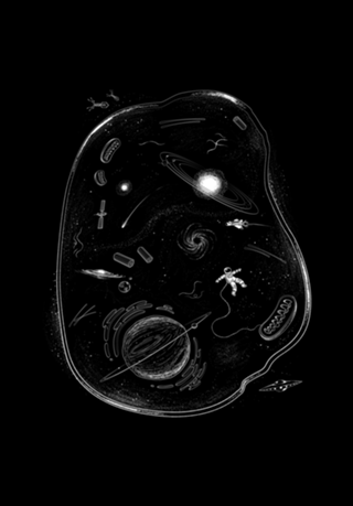 We Are Made Of Starts