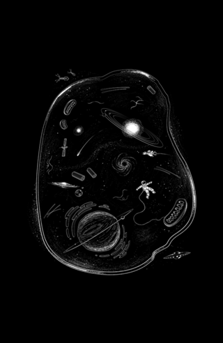 We Are Made Of Starts