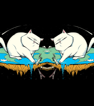 Flat Earth Cat