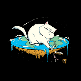 Flat Earth Cat