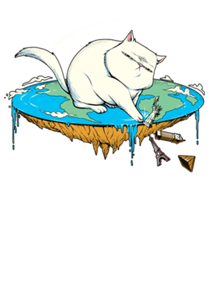 Flat Earth Cat