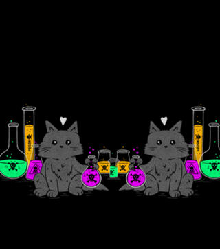 I Think My Cat Wants to Kill Me