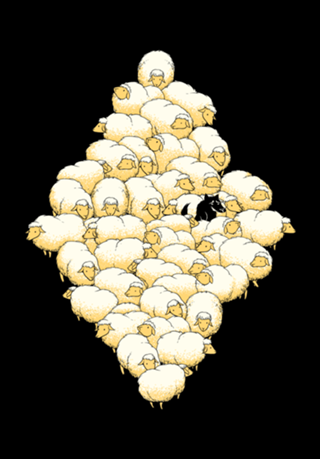 Find The Spy