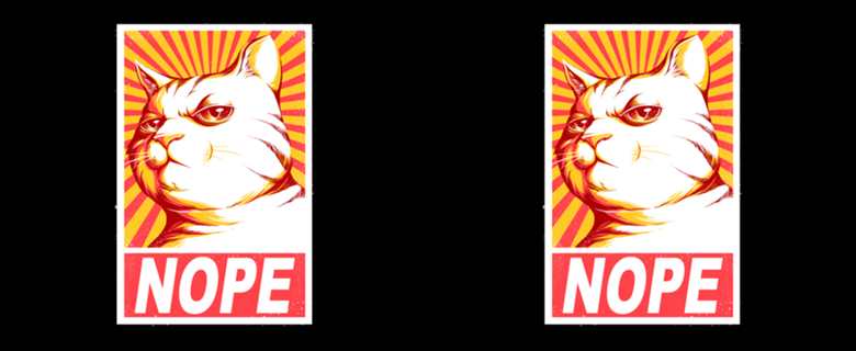 Obey Cats Black