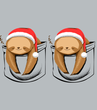Sloth in a Pocket Xmas