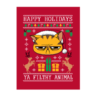 Ugly Holiday Sweater Cat