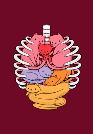 Anatomicat II