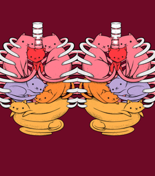 Anatomicat II